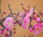 蓮の花