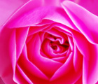 花束